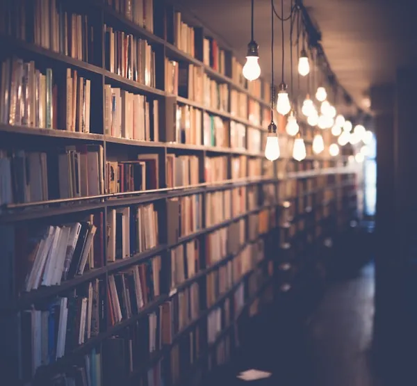 Student reading in library